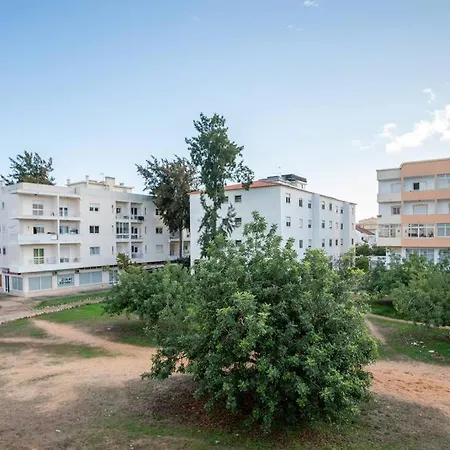 Blife Allya Private *